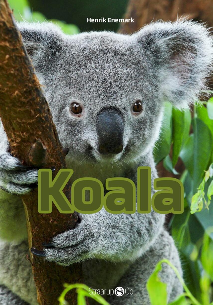 Henrik Enemark: Koala