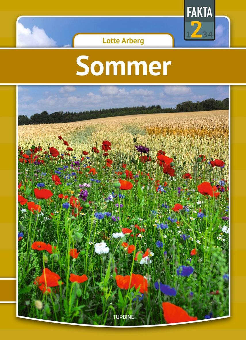Lotte Arberg: Sommer