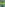Kurt Lassen (f. 1964): Miss Sunshine : Caroline Wozniacki og skyggen af farmand